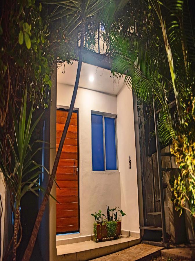 Apartament Departamentos Internazionale Mérida Zewnętrze zdjęcie