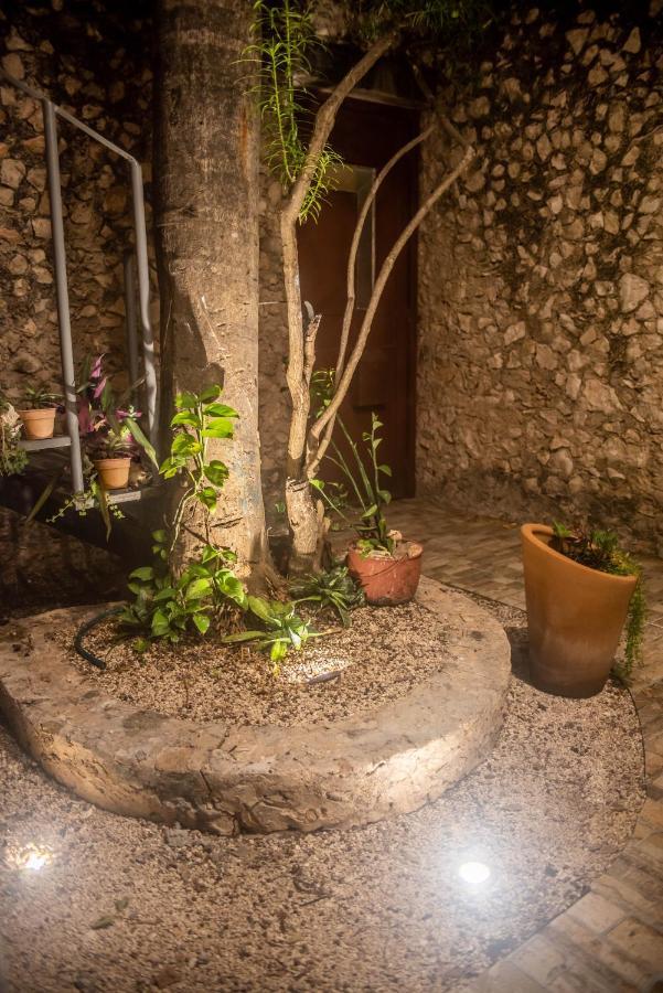 Apartament Departamentos Internazionale Mérida Zewnętrze zdjęcie